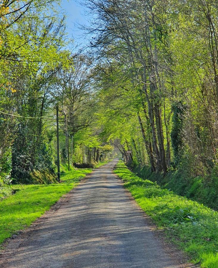 Saint-Gâtien-des-Bois Le Clos Joly 14 المظهر الخارجي الصورة